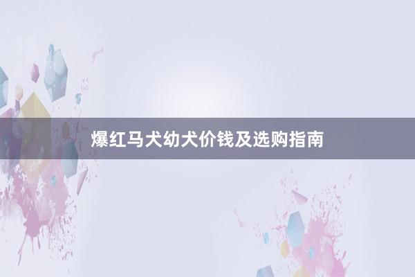 爆红马犬幼犬价钱及选购指南